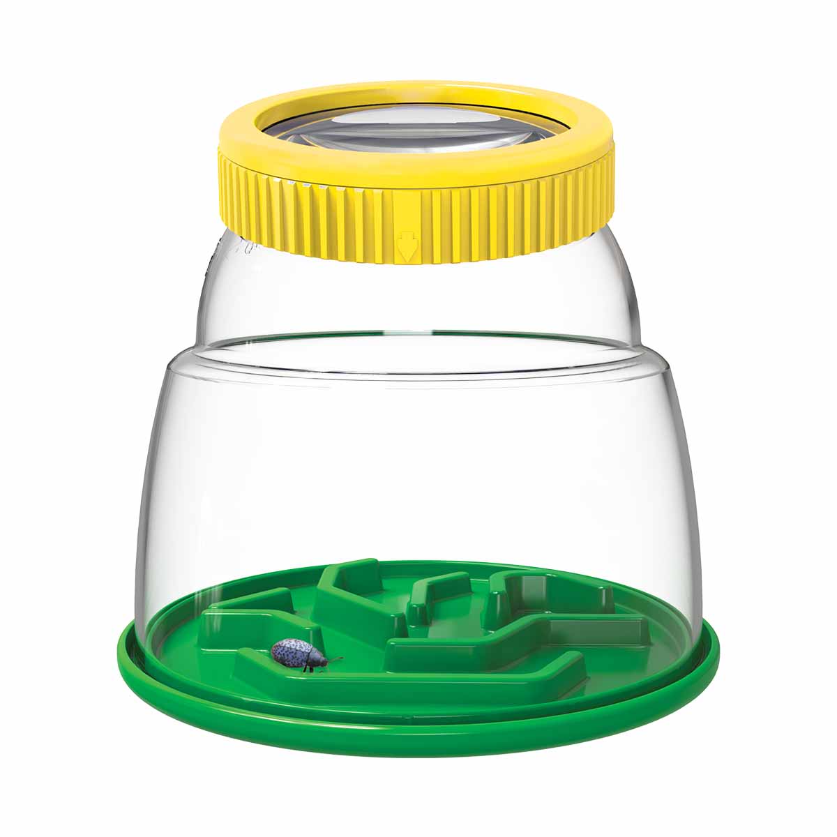 ��ǰ ������